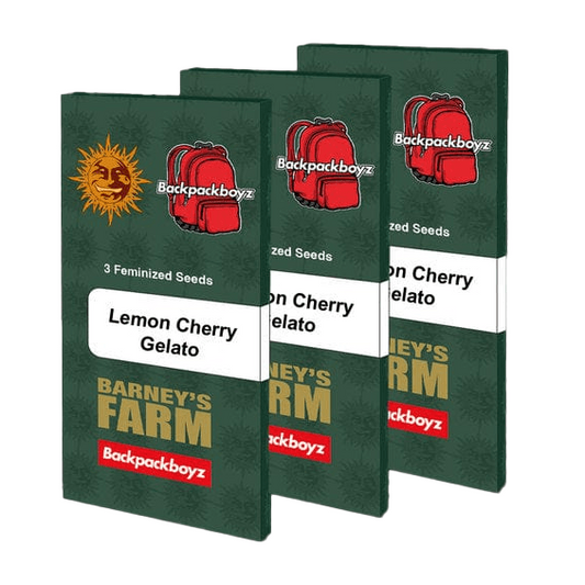 Lemon Cherry Gelato