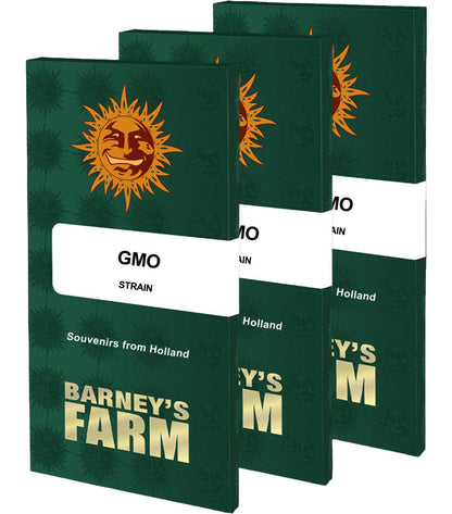 Barney's Farm GMO