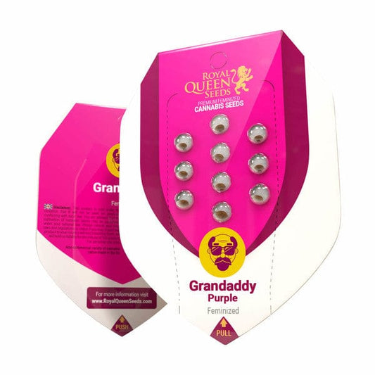 Grand Daddy Purple 10 seeds